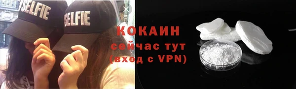 винт Абаза