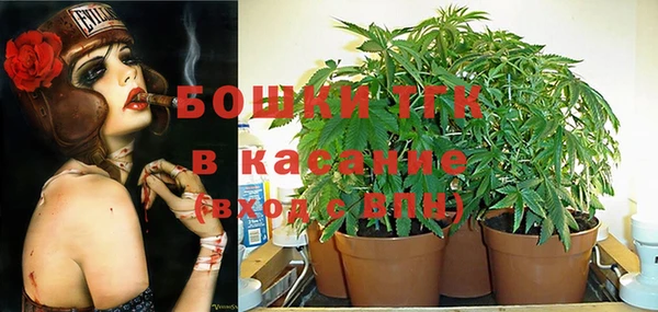 дурь Новокубанск