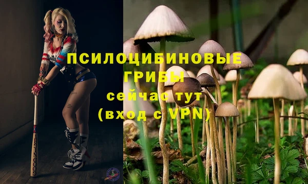 прущая мука Абдулино