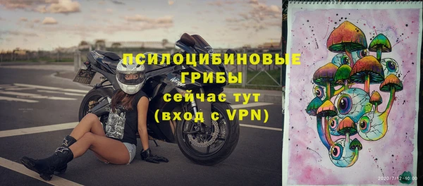 винт Абаза