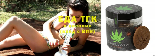 твердый Новозыбков