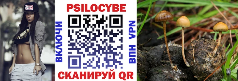 Псилоцибиновые грибы Psilocybine cubensis  Севастополь 