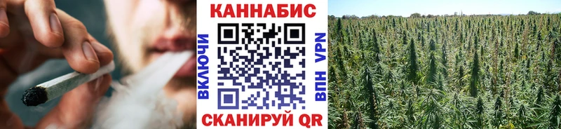 Канабис OG Kush  kraken   Севастополь 